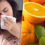 Vitamin C : జలుబు తగ్గడంలో సీ విటమిన్‌ పాత్ర ఉందా?