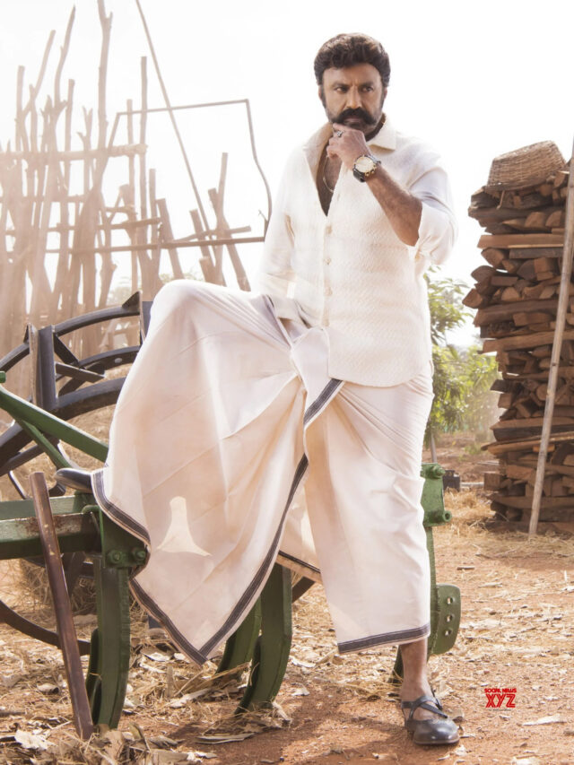 “వీరసింహారెడ్డి” మరో “సమరసింహారెడ్డి” గా ..