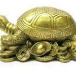 Placement of a Tortoise : తాబేలు ప్రతిమను  ఏ దిశలో ఉంచితే మంచిది?