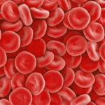 Blood Cells : ఇక రక్త దాతల కోసం వెతుక్కునే అవసరం లేదు… ల్యాబ్ లో తయారు చేసిన ఎర్ర రక్త కణాలతో క్లినికల్ ట్రయల్స్