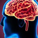 Brain: మెదడు పనితీరు మెరుగుపడాలంటే!