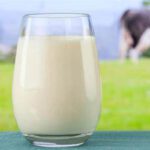 Milk : గేదె పాలు, ఆవు పాల మధ్య తేడా ఏంటి?