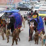 Brahmotsavam : కార్తీకమాసంలోనే తిరుచానూరు బ్రహ్మోత్సవాలు ఎందుకు చేస్తారు?