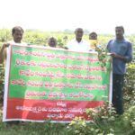Palnadu : నకిలీ విత్తనాలతో నష్టపోయిన పల్నాడు రైతులు..