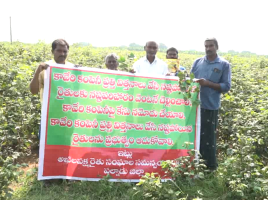 Palnadu : నకిలీ విత్తనాలతో నష్టపోయిన పల్నాడు రైతులు..