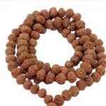 Rudraksha : రుద్రాక్షలు ధరించే ముందు ఈ పనిచేయండి