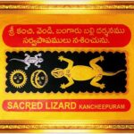 Lizard : బల్లి చెప్పే శకునంలో నిజం ఉందా..?