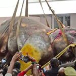 Puducherry Elephants : పుదుచ్చేరి ఏనుగుకు ఘన వీడ్కోలు..