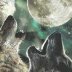 Korala Pournami : కోరల పౌర్ణమి నాడు కుక్కలకు కుడుములు పెట్టాలా..?