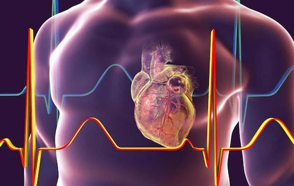 First ever AI tool by Israel to prevent heart risks
