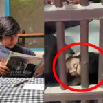 Aftab Narco Test : పూర్తికానున్న శ్రద్ధా వాకర్ మర్డర్ కేస్..