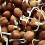 Almonds:పేదవాడి బాదం.. శనగలు బెన్‌ఫిట్స్‌
