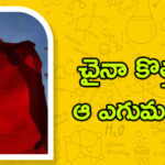 Solar Manufacture:చైనా కొత్త వ్యూహం.. ఆ ఎగుమతులకు చెక్..