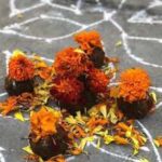 Sankranti GOBBEMMA : సంక్రాంతి గొబ్బెమ్మలను గోదాదేవిగా ఎందుకు భావిస్తారు
