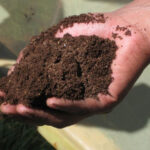 Replacing chemical fertilizers :- కెమికల్ ఎరువుల స్థానంలో కొత్త మందులు..