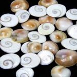 Gomti Chakra: గోమతీ చక్రం గుజరాత్ లోనే ఎందుకు దొరుకుతుందంటే…