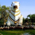 Mahanandi:మహానందికి వెళ్లే ముందు ఈవిషయం తెలుసుకోండి