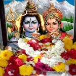 Shivratri Puja : శివరాత్రి పూజలో ఈ పువ్వులు వాడారా…