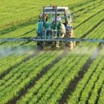 Iran Agriculture:వ్యవసాయంపై ఫోకస్ పెట్టిన ఇరాన్.. అదే ప్లాన్..!