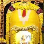 Simhadri Appannaswamy : అప్పన్నస్వామికి శాపం వల్లే అలా జరిగిందా