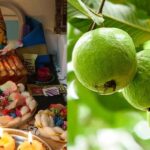 Guava:జామపండు నైవేద్యం పెట్టారా..!