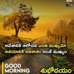CAR-T Therapy: బ్లడ్ క్యాన్సర్ నుండి బయటపడేసే కార్-టీ థెరపీ..