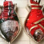 Fish : చేపల్ని గిప్ట్ గా ఇచ్చే ఆచారం ఎక్కడుంది