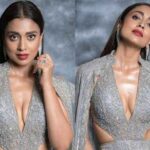 Shriya Saran : ఐఏఎస్ ఆఫీసర్ ద‌ర్శ‌క‌త్వంలో శ్రియా శ‌రన్‌