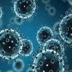 H3N2 Virus : H3N2 వైరస్ డేంజర్ బెల్స్.. ఇద్దరు మృతి.. కేంద్రం అలెర్ట్..