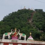 Lakshmi Narasimhaswamy:-కర్పూరం వెలుగులో మాత్రమే కనిపించే లక్ష్మీ నరసింహస్వామి..