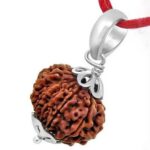 Rudraksha:రుద్రాక్ష ఎలా పుట్టింది?