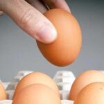 Egg: గుడ్డు తిని చిన్నారి మృతి.. 8 లక్షలు చెల్లించాల్సిందేనన్న హైకోర్టు..