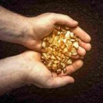 Gold Specialities: బంగారం గురించి ఆసక్తికర విషయాలు.. చదివితే ఆశ్చర్యపోతారు..