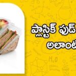 Plastic Food:- ప్లాస్టిక్ ఫుడ్ ప్యాకేజింగ్‌తో అలాంటి ముప్పు..