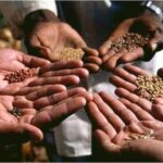 Seed System:- రైతులకు సాయంగా సీడ్ సిస్టమ్.. ఆకలి బాధకు చెక్..!