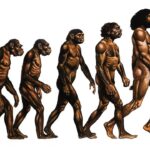 Human Evolution : కోతి నుండి మనిషి వచ్చాడా..? ఆధారం ఏంటంటే..?