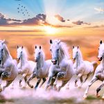 Lucky Horse : మీ ఇంటికి లక్కీ హార్స్ తెచ్చారా…..