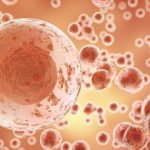 Treatment Of Cancer : సెల్స్ మరణంపై పరిశోధనలు.. క్యాన్సర్‌కు చికిత్స కోసం..
