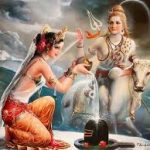Kadamba tree : కదంబ వృక్షానికి పూజతో కొత్త జీవితం