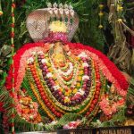 Shakambhari Devi Puja: నవరాత్రి పూజ తర్వాత శాకంబరి పూజ ఎందుకు చేయాలంటే….