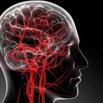 The Cause of Mental Diseases: మెదడులో రక్తం.. మానసిక వ్యాధులకు కారణం..