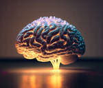 Brain Aging : బ్రెయిన్ ఏజ్‌ను తగ్గించే డైట్.. శరీర బరువుతో కనెక్షన్..