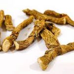 Benefits Of Vasakommu : వసకొమ్ముతో ఏడు లాభాలు