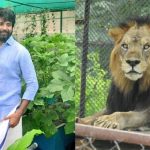 Siva Karthikeyan: సింహాన్ని దత్తత తీసుకున్న హీరో..