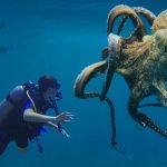 Octopus: మనుషుల్లో, ఆక్టోపస్‌లలో ఆసక్తికరమైన పోలిక..