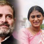 Sharmila : రాహుల్‌ గాంధీకి బర్త్ డే విషెస్.. ఆసక్తిగా షర్మిల ట్వీట్ .. కాంగ్రెస్ వైపు అడుగులు..?