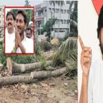 Pawan Kalyan : ‘పుష్ప విలాపం’.. జగన్ పర్యటనపై పవన్ ఫైర్..