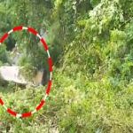 Bus Accident : పాడేరు ఘాట్ రోడ్డులో ఘోర ప్రమాదం.. లోయలోకి దూసుకెళ్లిన బస్సు..