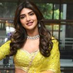 Sreeleela movie updates : ఆ బ్యూటీకి ఆఫర్లే ఆఫర్లు.. ప్రభాస్ మూవీలో ఛాన్స్ ?