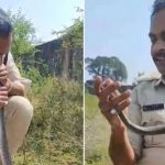 CPR to Snake : పాముకు సీపీఆర్ చేసిన కానిస్టేబుల్.. ఆ తర్వాత ఏమైందంటే..